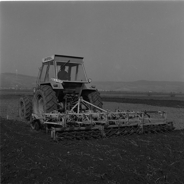 minerva_agricultura_1_c5r4_002