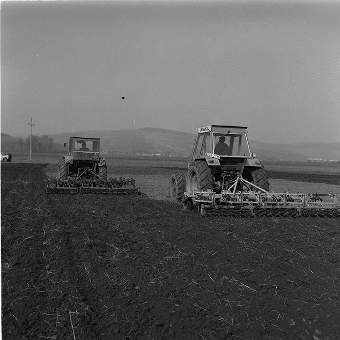 minerva_agricultura_1_c5r4_003