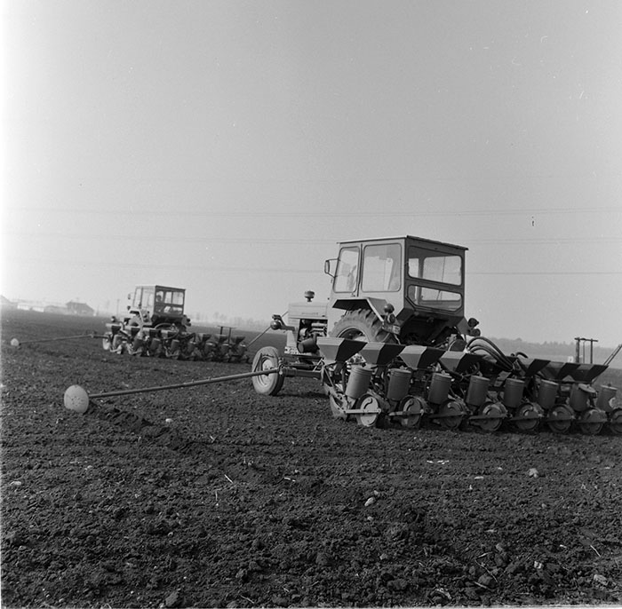 minerva_agricultura_1_c5r5_004