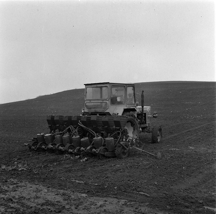 minerva_agricultura_1_c5r5_007