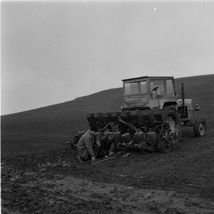 minerva_agricultura_1_c5r5_009