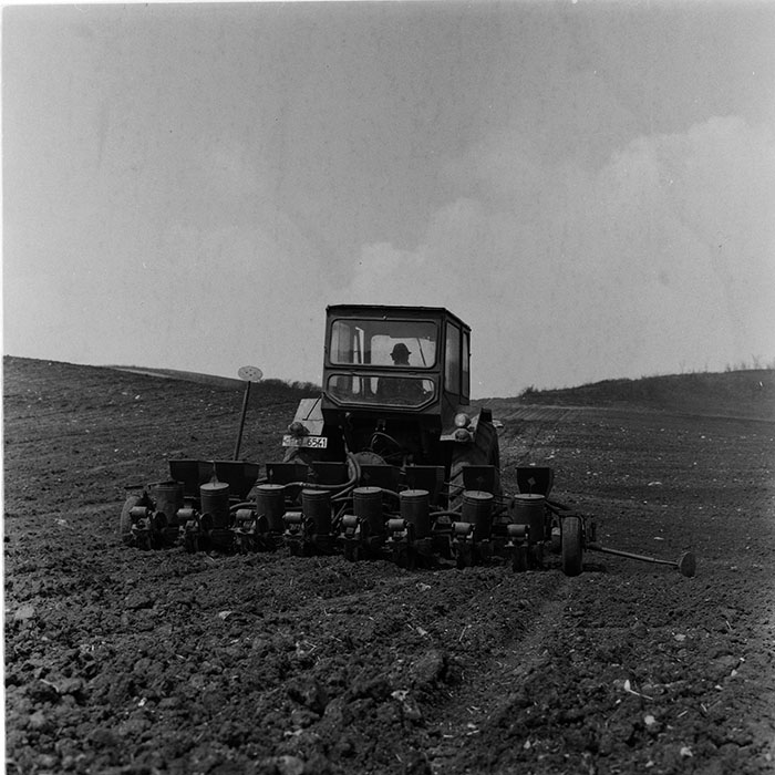 minerva_agricultura_1_c5r5_024