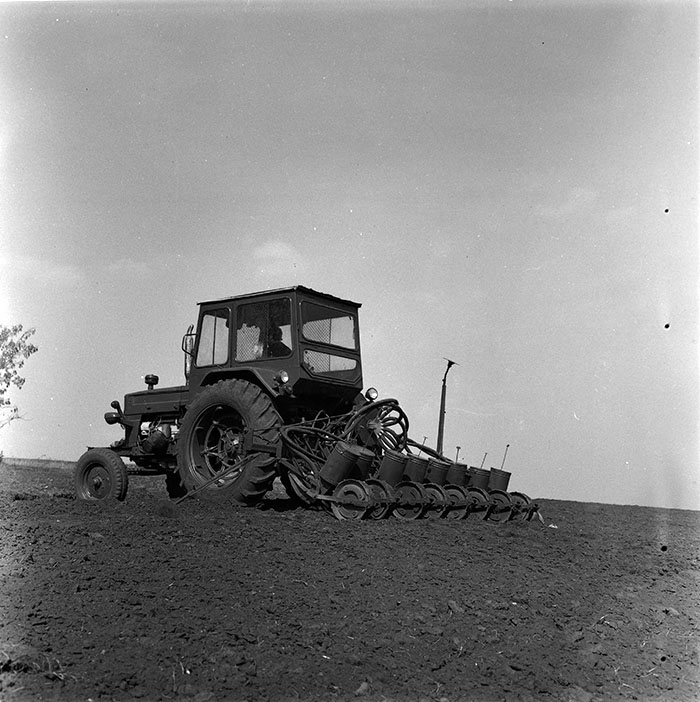 minerva_agricultura_1_c6r1_001