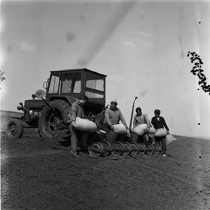 minerva_agricultura_1_c6r1_002