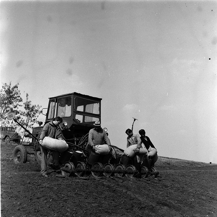 minerva_agricultura_1_c6r1_003