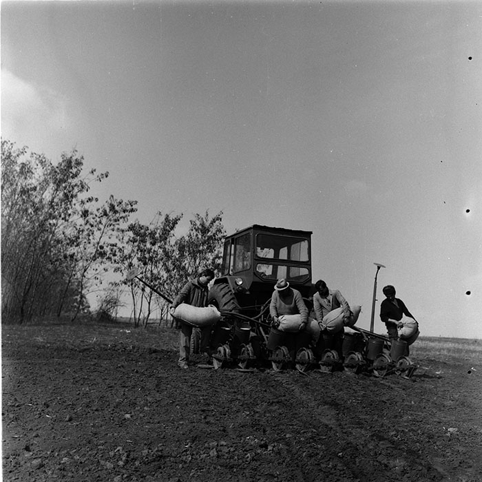 minerva_agricultura_1_c6r1_004