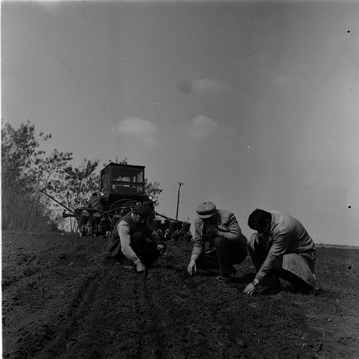 minerva_agricultura_1_c6r1_007