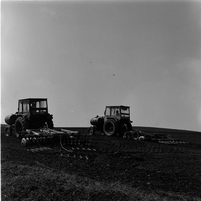 minerva_agricultura_1_c6r1_009