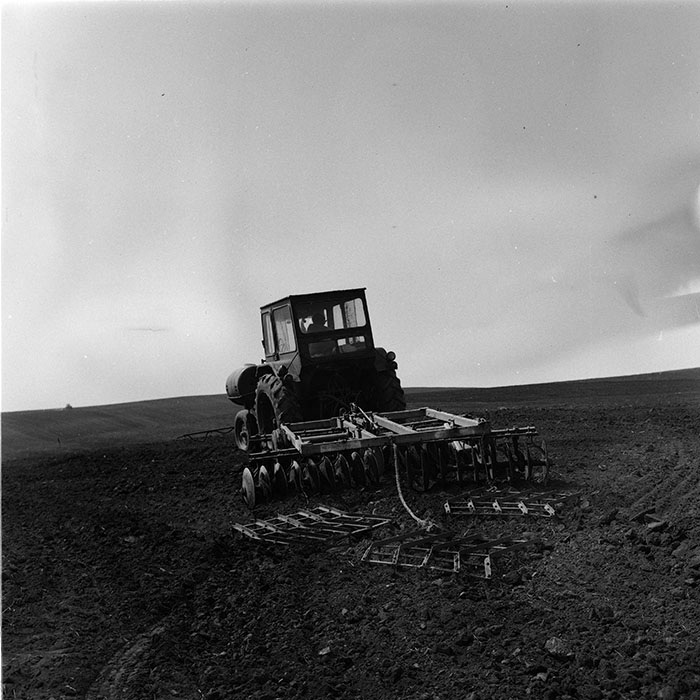 minerva_agricultura_1_c6r1_011