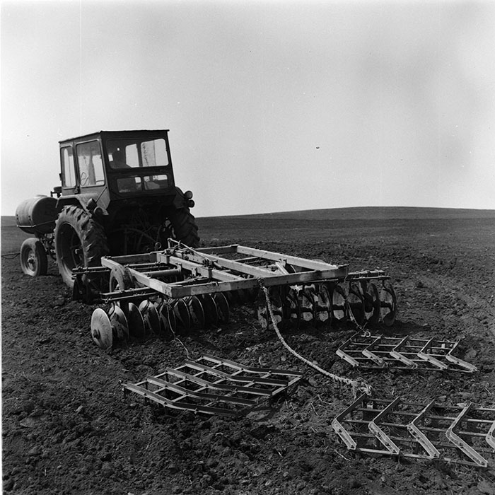 minerva_agricultura_1_c6r1_012