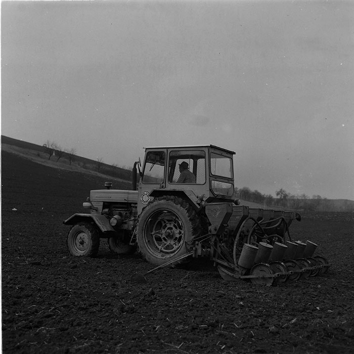 minerva_agricultura_1_c6r2_002