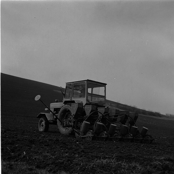 minerva_agricultura_1_c6r2_004