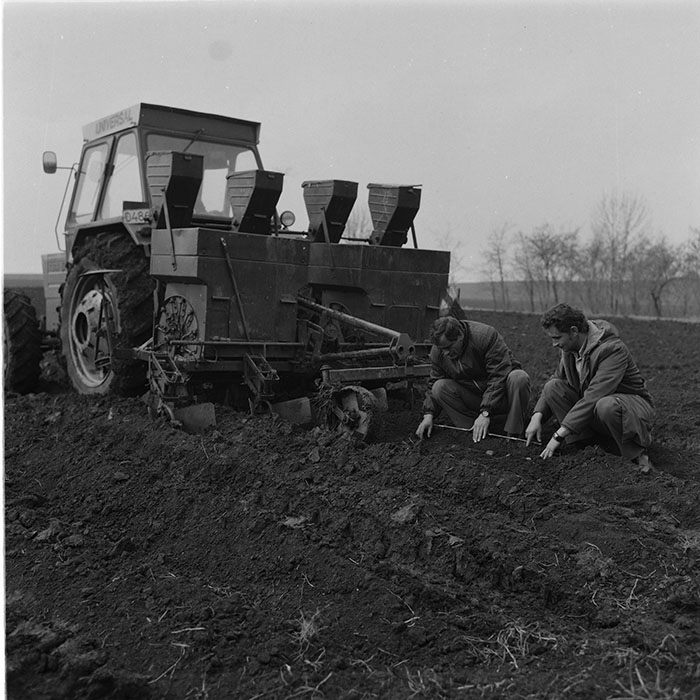 minerva_agricultura_1_c6r2_007