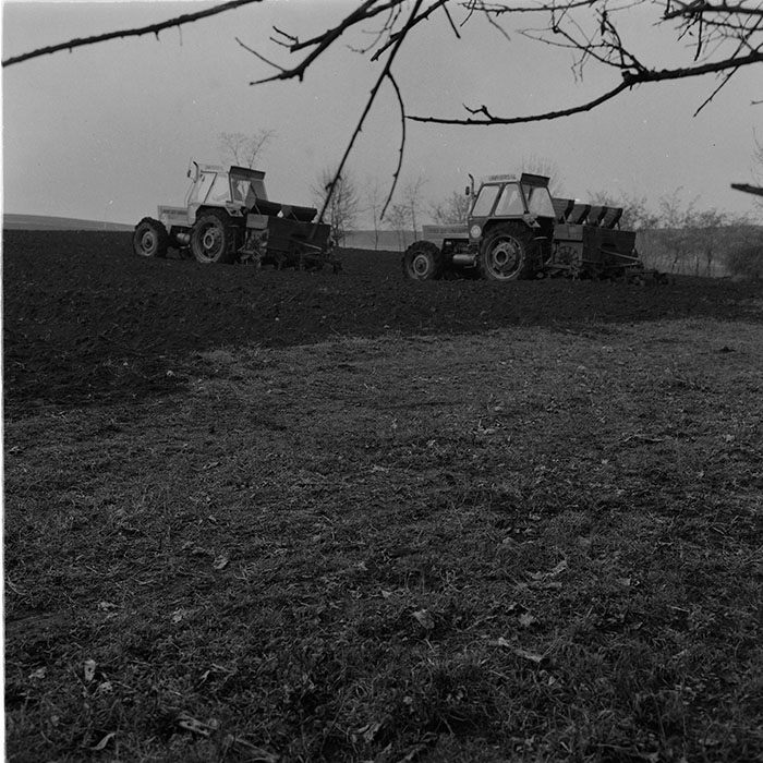 minerva_agricultura_1_c6r2_010