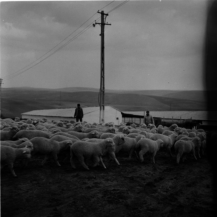 minerva_agricultura_1_c6r3_002