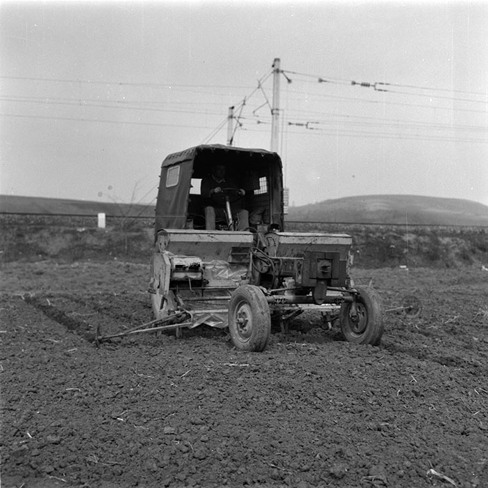 minerva_agricultura_1_c6r4_002