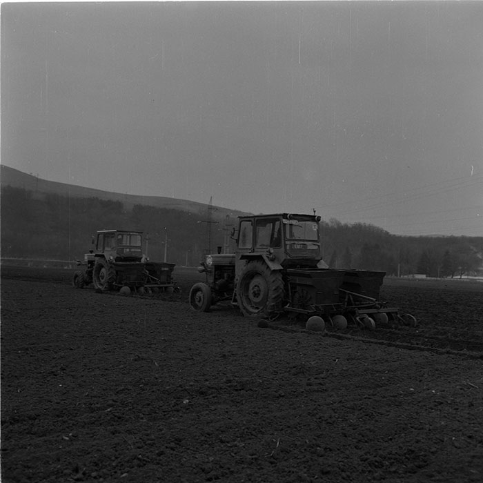 minerva_agricultura_1_c6r4_005