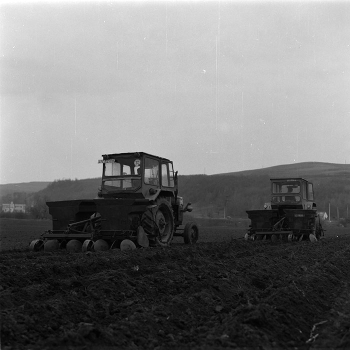 minerva_agricultura_1_c6r4_006