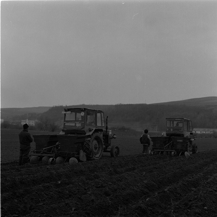 minerva_agricultura_1_c6r4_007