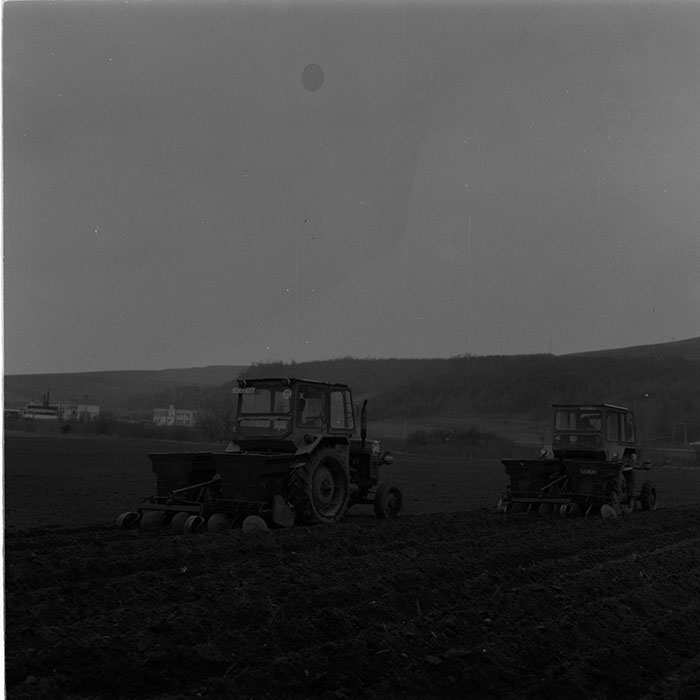 minerva_agricultura_1_c6r4_008