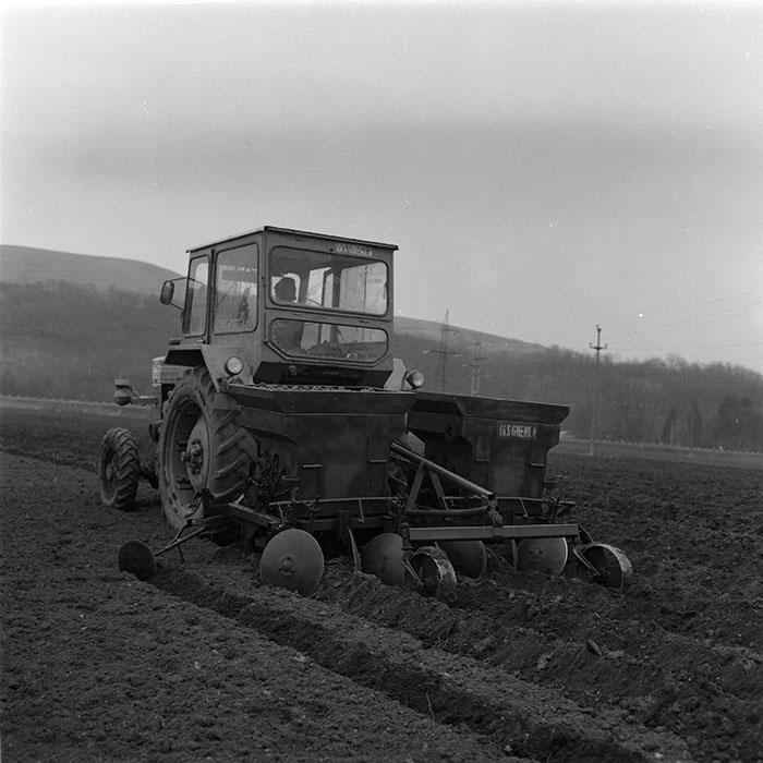 minerva_agricultura_1_c6r4_010