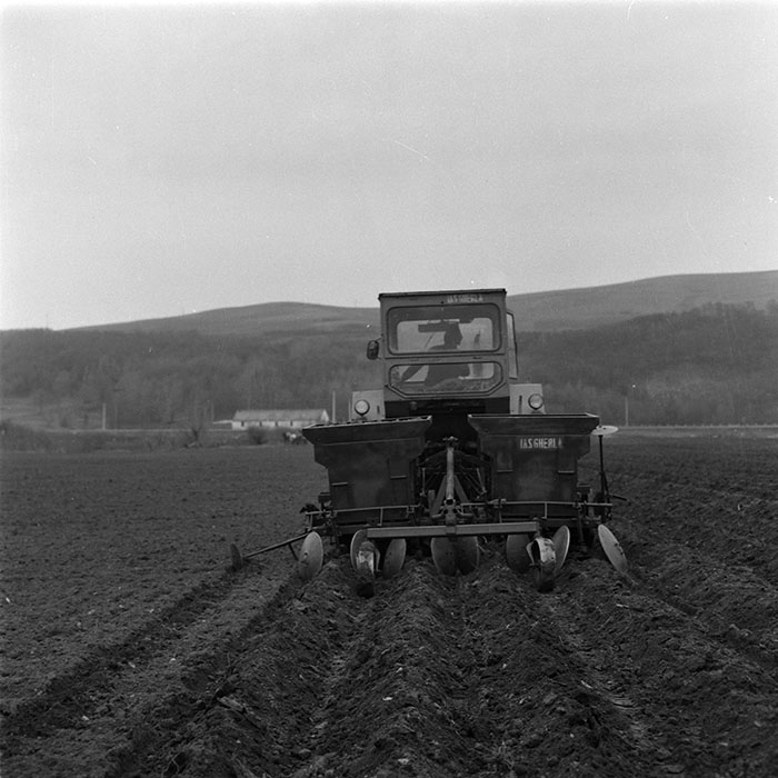 minerva_agricultura_1_c6r4_011