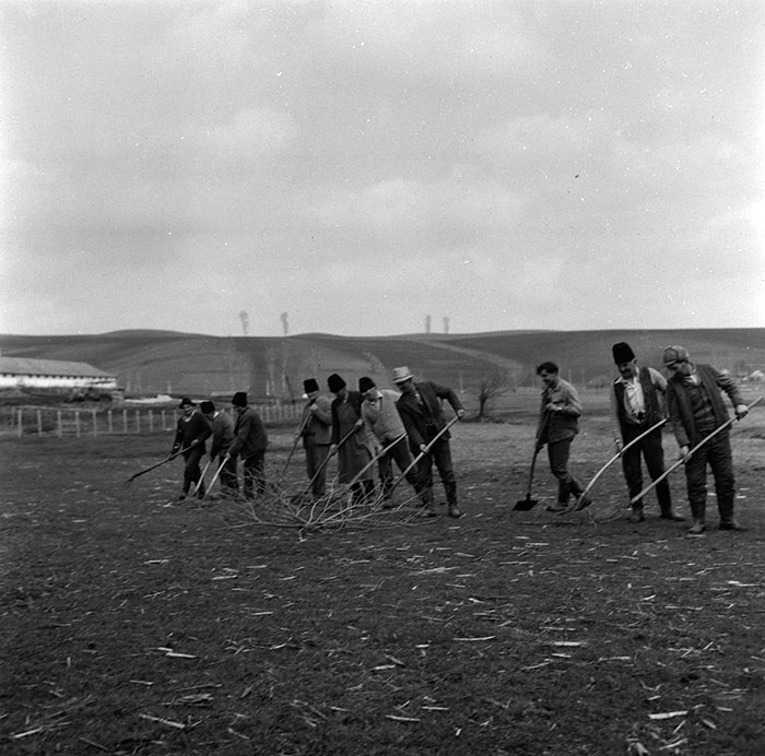 minerva_agricultura_1_c6r5_001