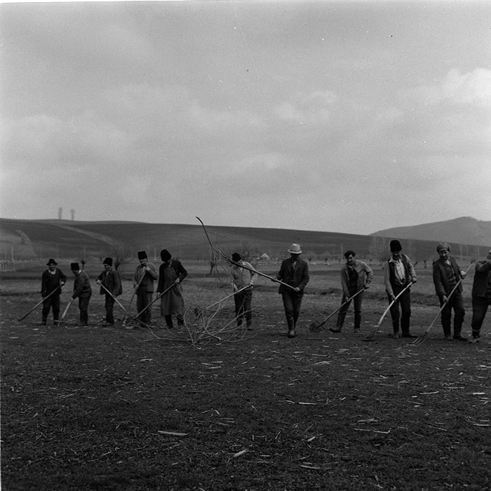 minerva_agricultura_1_c6r5_002