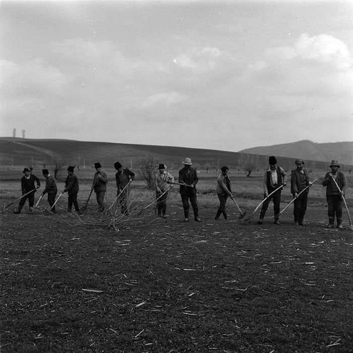 minerva_agricultura_1_c6r5_003