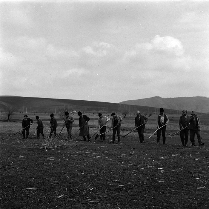 minerva_agricultura_1_c6r5_004