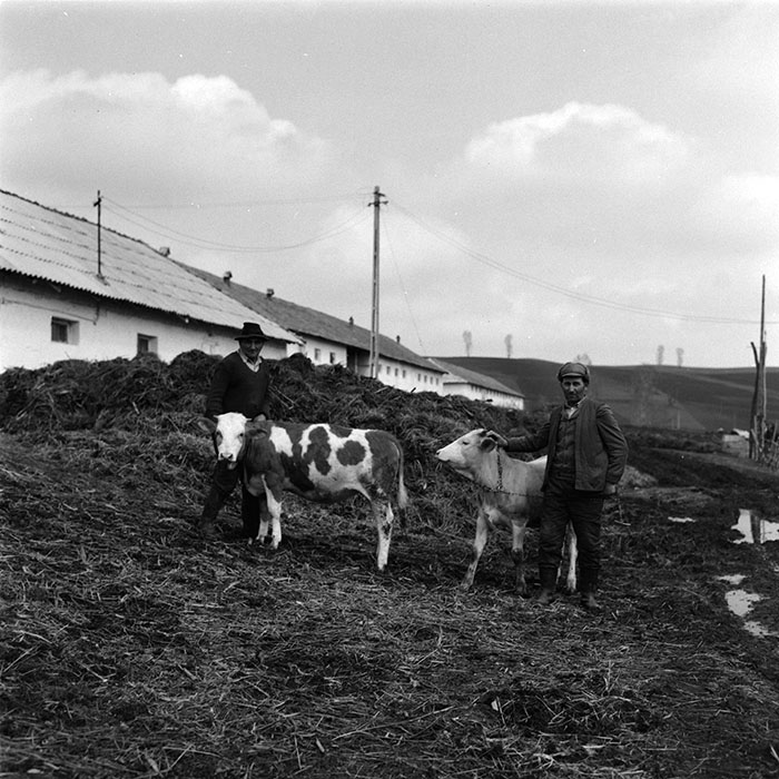 minerva_agricultura_1_c6r5_006