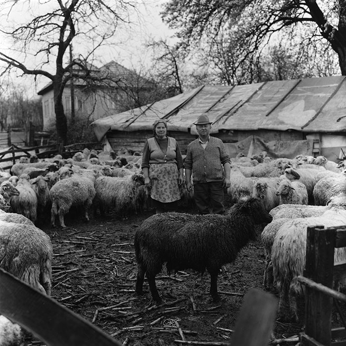 minerva_agricultura_1_c7r2_002