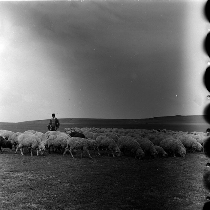 minerva_agricultura_1_c7r2_004