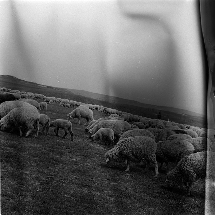 minerva_agricultura_1_c7r2_009