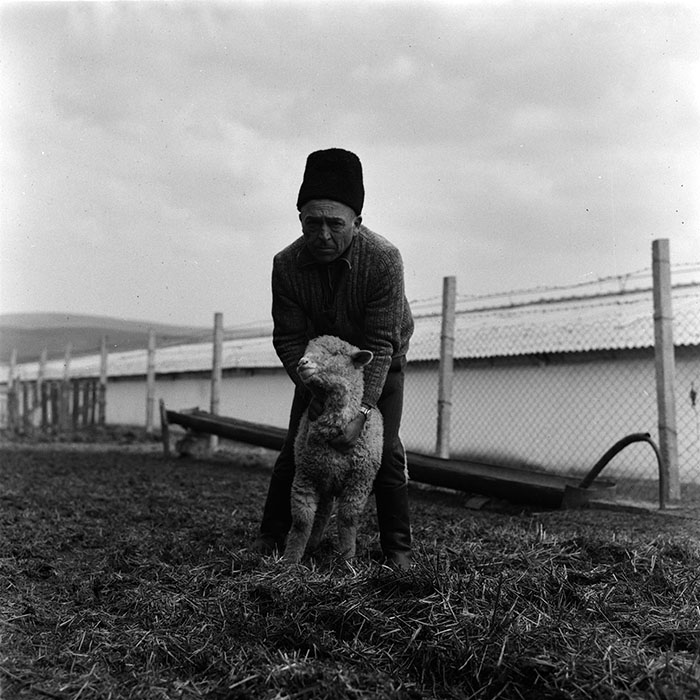 minerva_agricultura_1_c7r4_002