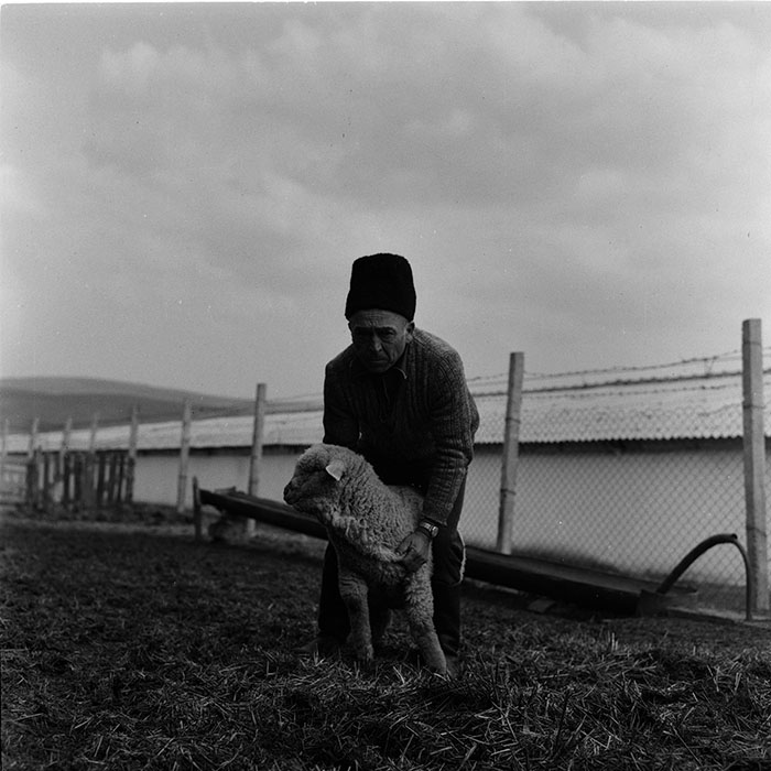 minerva_agricultura_1_c7r4_003