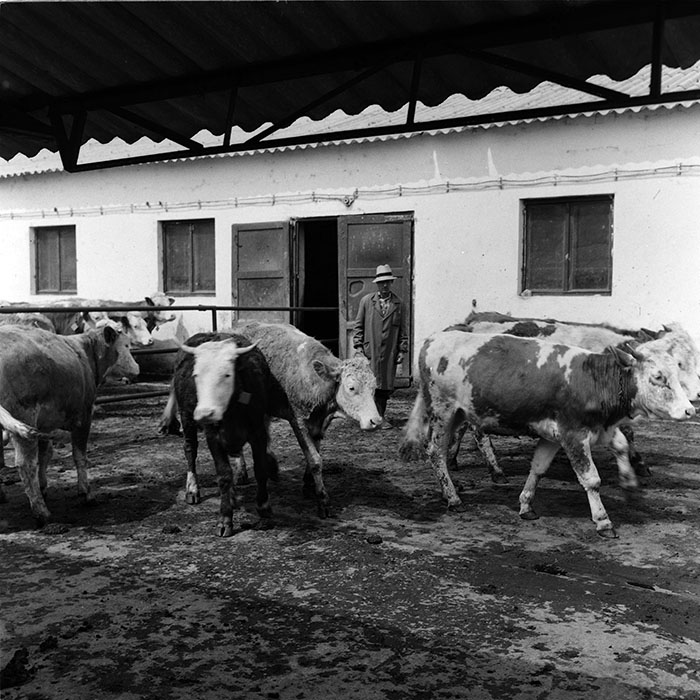 minerva_agricultura_1_c7r4_007