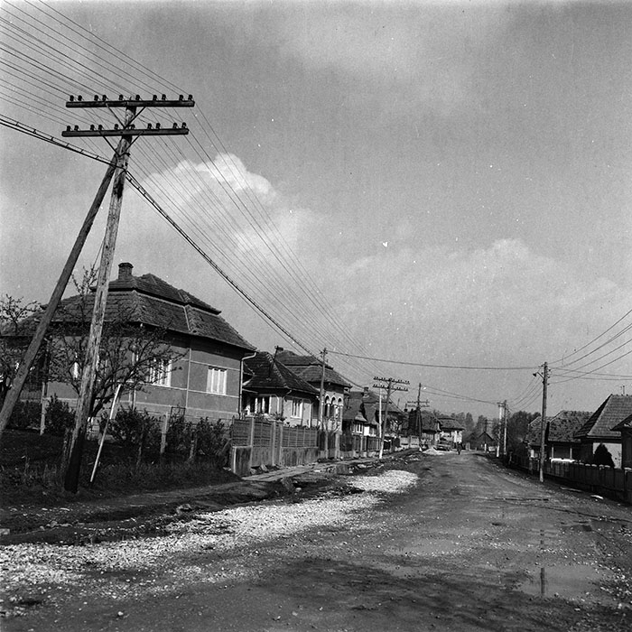 minerva_agricultura_1_c7r4_019