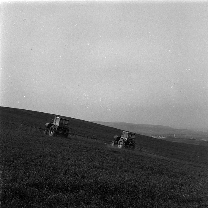 minerva_agricultura_1_c7r5_002