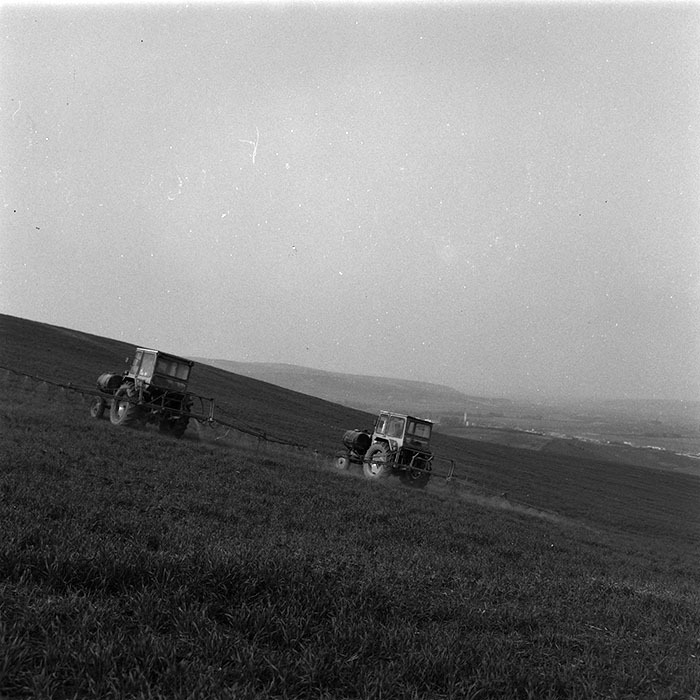 minerva_agricultura_1_c7r5_003