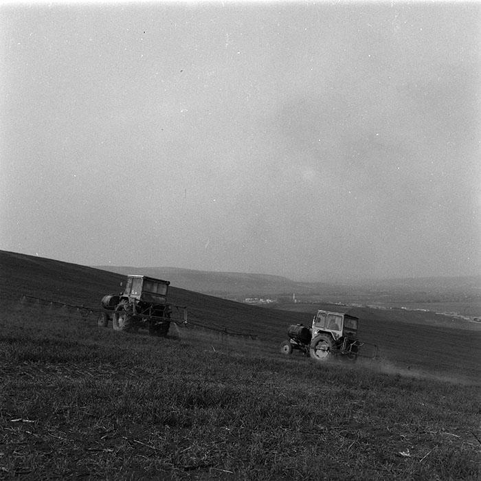 minerva_agricultura_1_c7r5_004