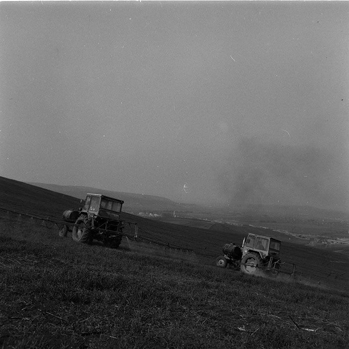 minerva_agricultura_1_c7r5_005