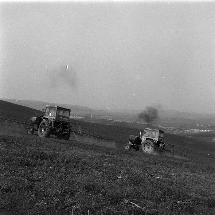 minerva_agricultura_1_c7r5_006