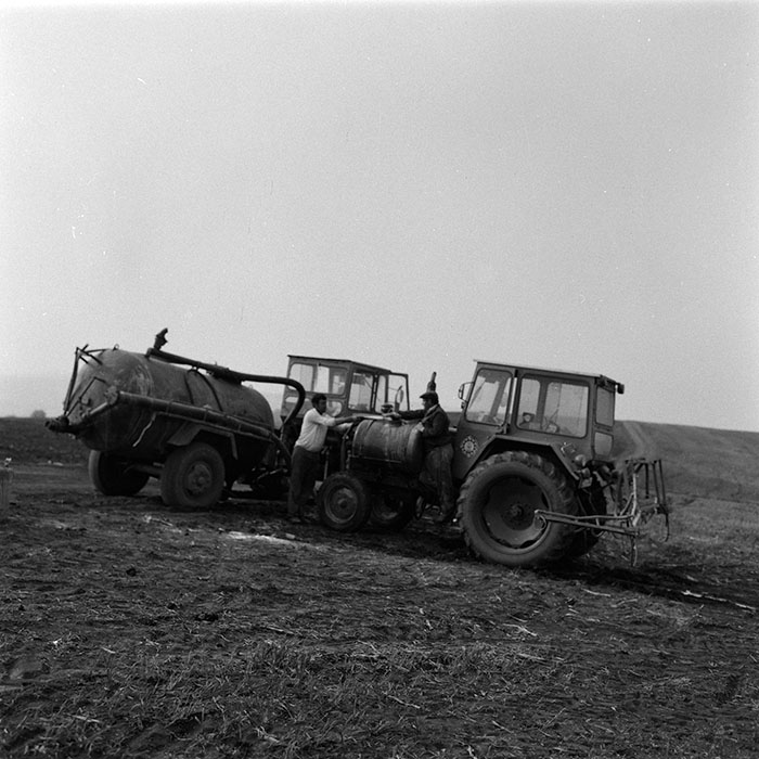 minerva_agricultura_1_c7r5_007