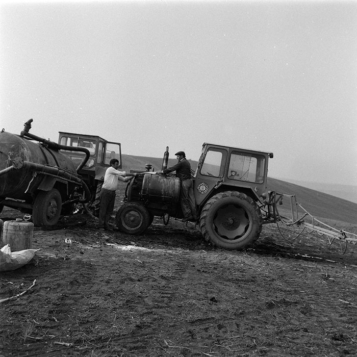 minerva_agricultura_1_c7r5_008