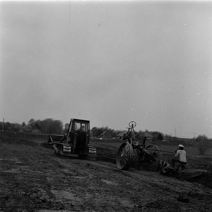 minerva_agricultura_1_c7r5_010