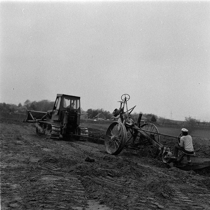 minerva_agricultura_1_c7r5_011