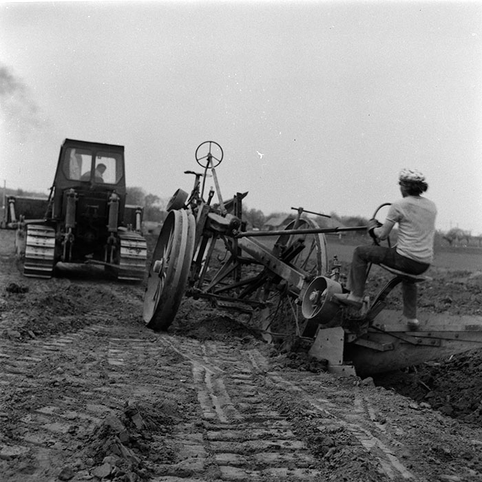 minerva_agricultura_1_c7r5_012