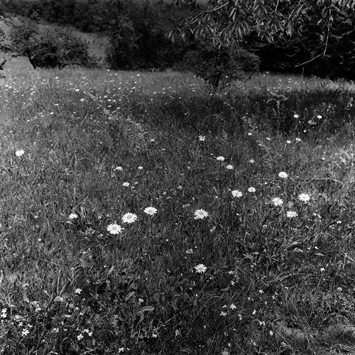 minerva_agricultura_1_c8r2_003