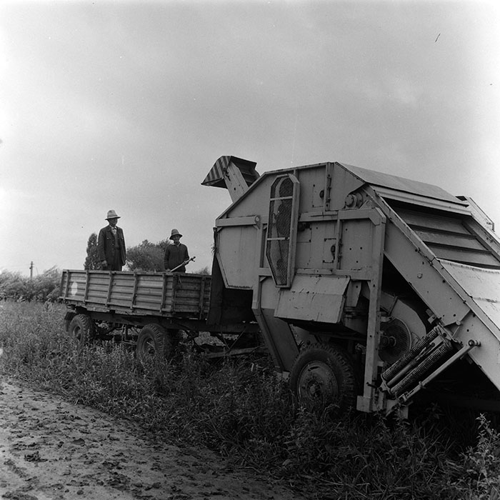 minerva_agricultura_1_c8r3_005
